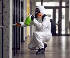 Trusted Dover, NH Mold Remediation Experts